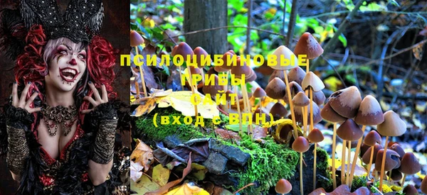 хмурый Зеленодольск