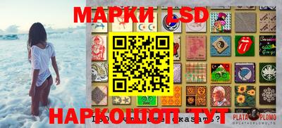 прущие грибы Краснознаменск