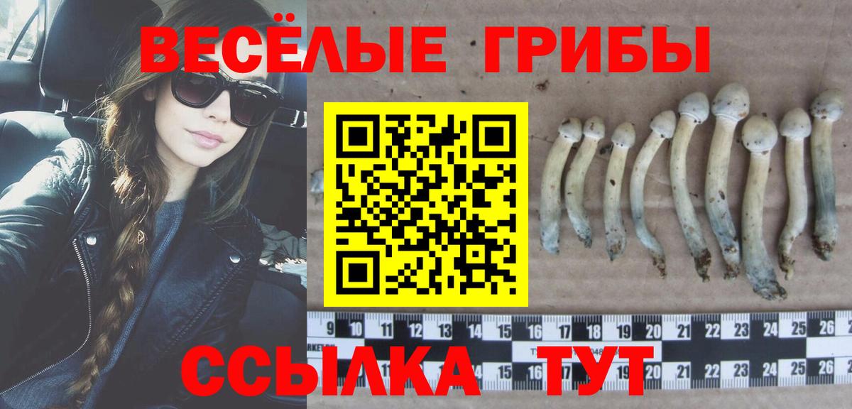 Псилоцибиновые грибы прущие грибы  Вход с VPN  Серов 