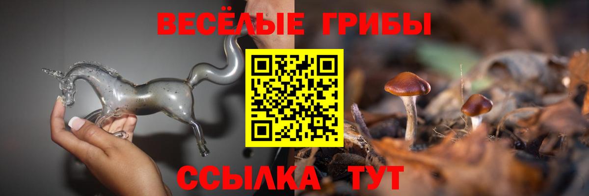 Галлюциногенные грибы Psilocybine cubensis Серов